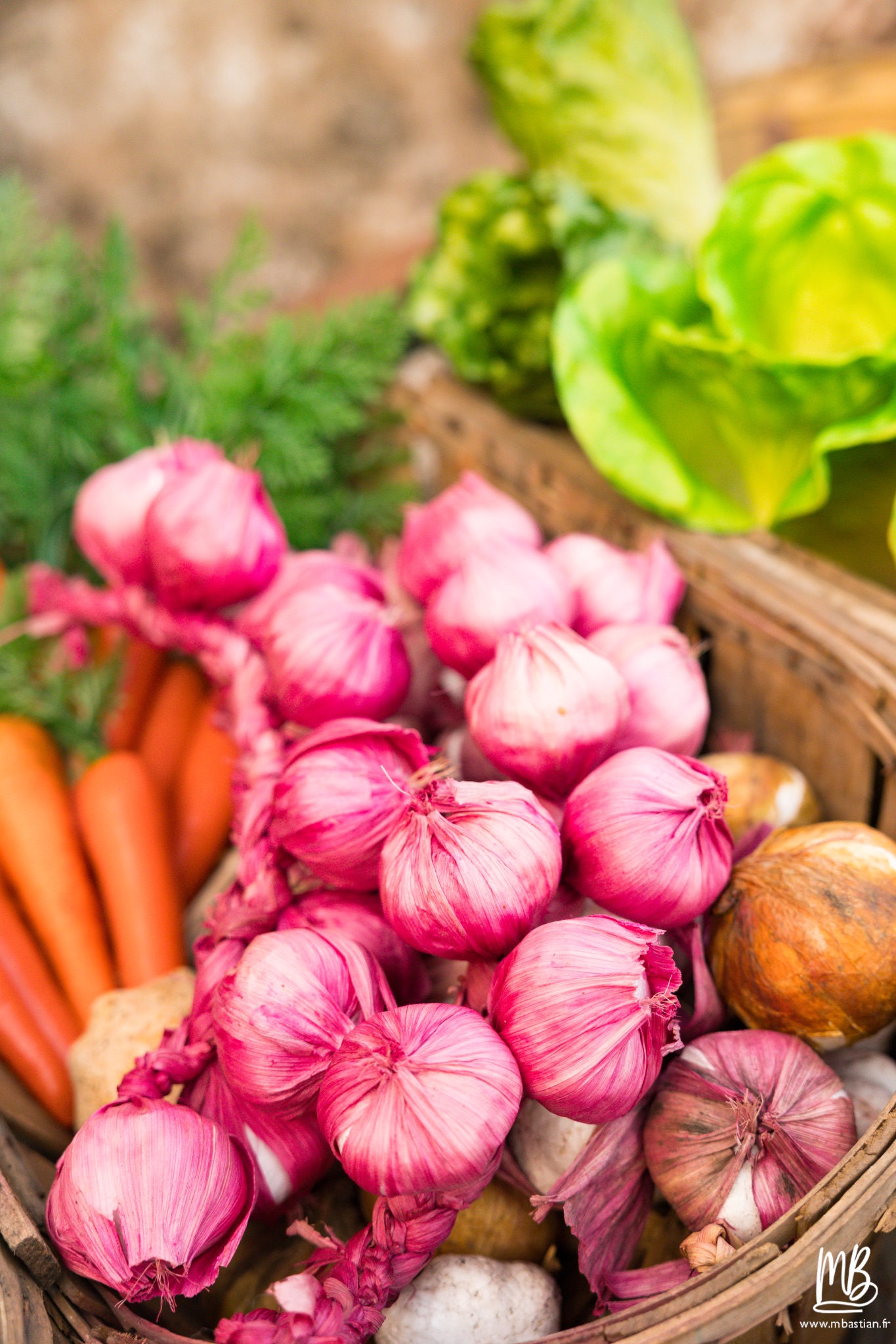 20250711 EXNIHILO(LE JARDIN DES DELICES) MB 56